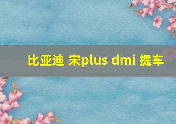 比亚迪 宋plus dmi 提车